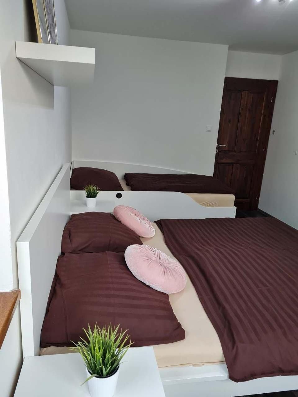 Vila Max - Whirlpool & Bazen & Sauna Velke Losiny Ngoại thất bức ảnh