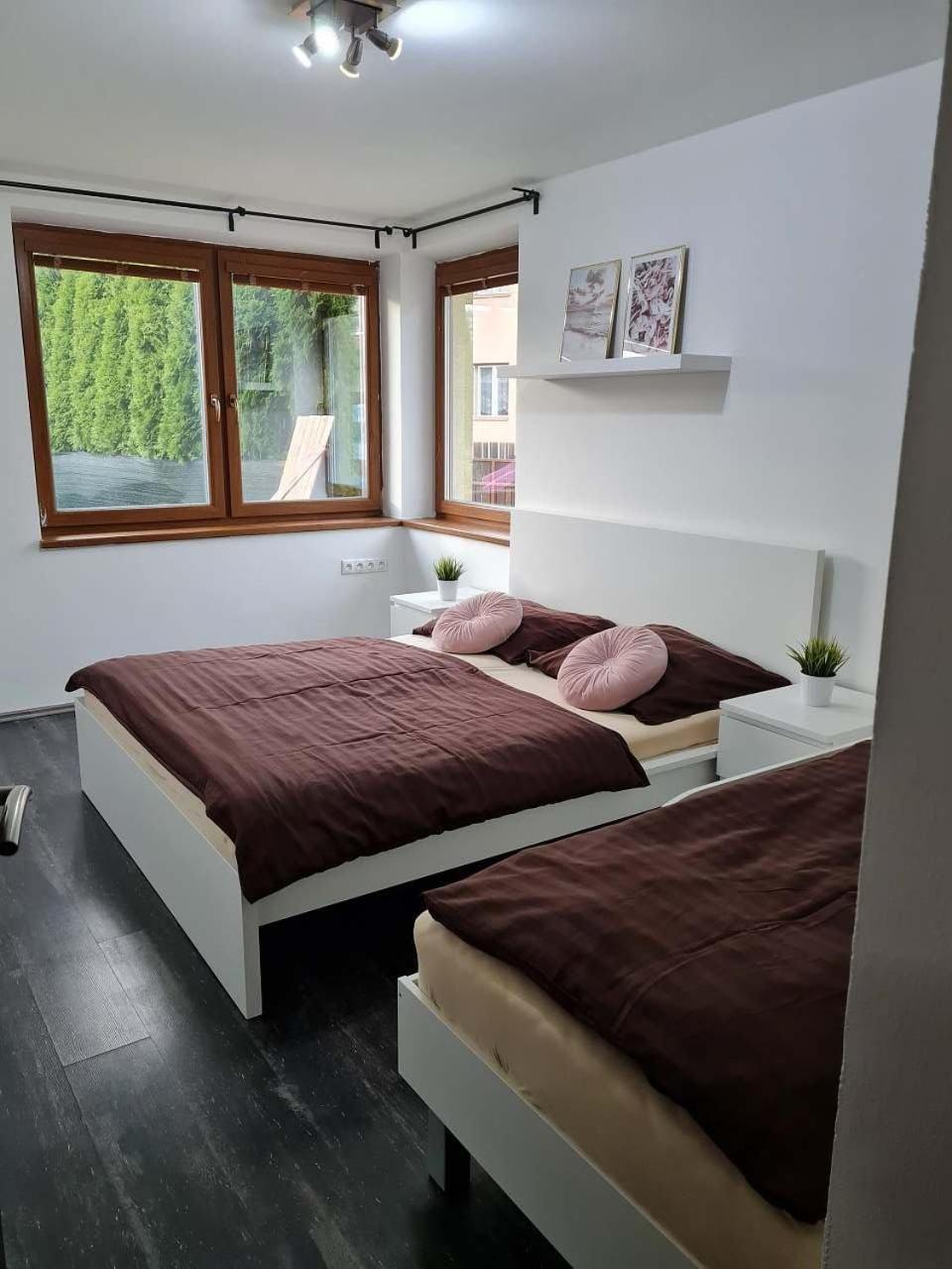 Vila Max - Whirlpool & Bazen & Sauna Velke Losiny Ngoại thất bức ảnh